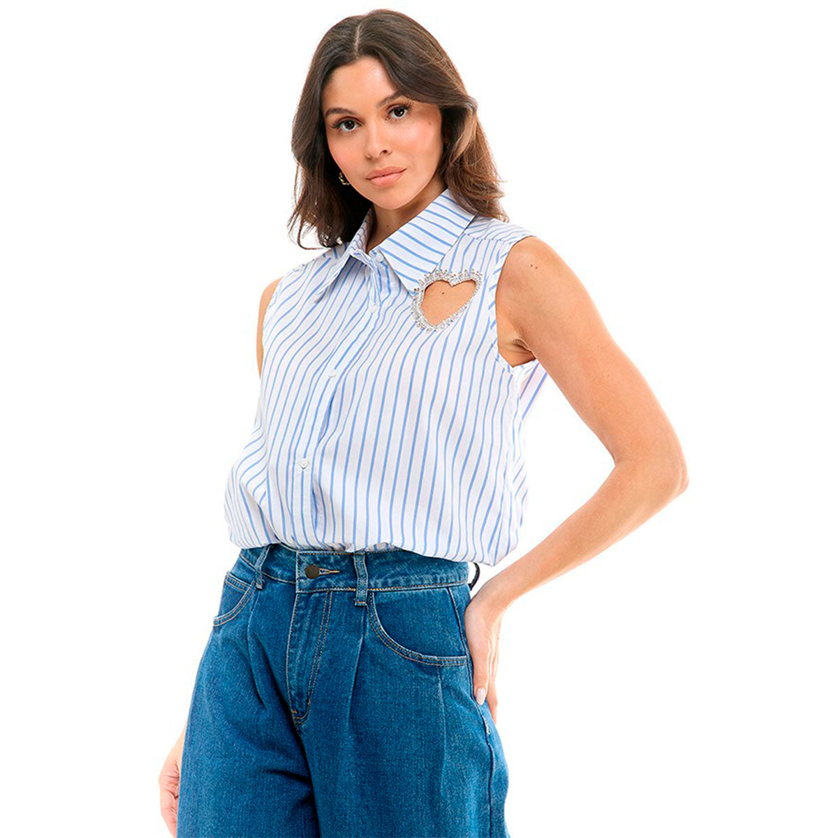 Camisa Blanca de Rayas