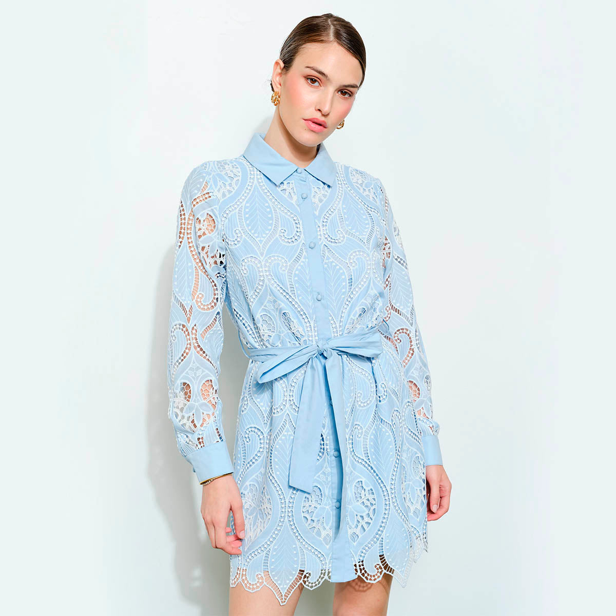 Vestido Azul con Bordado